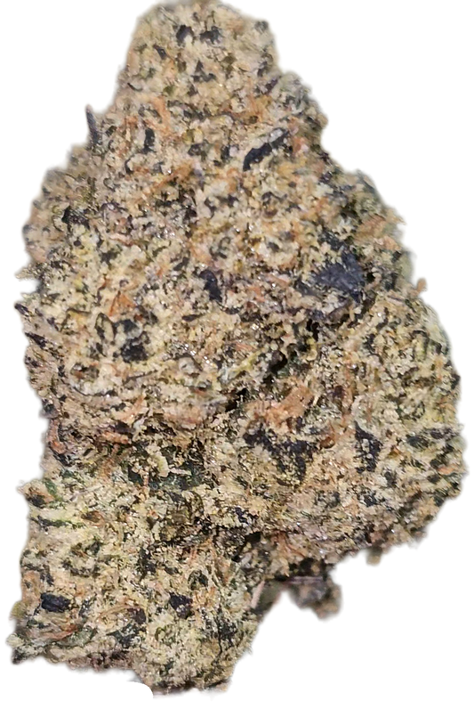 Walrus Kush 35% THCa